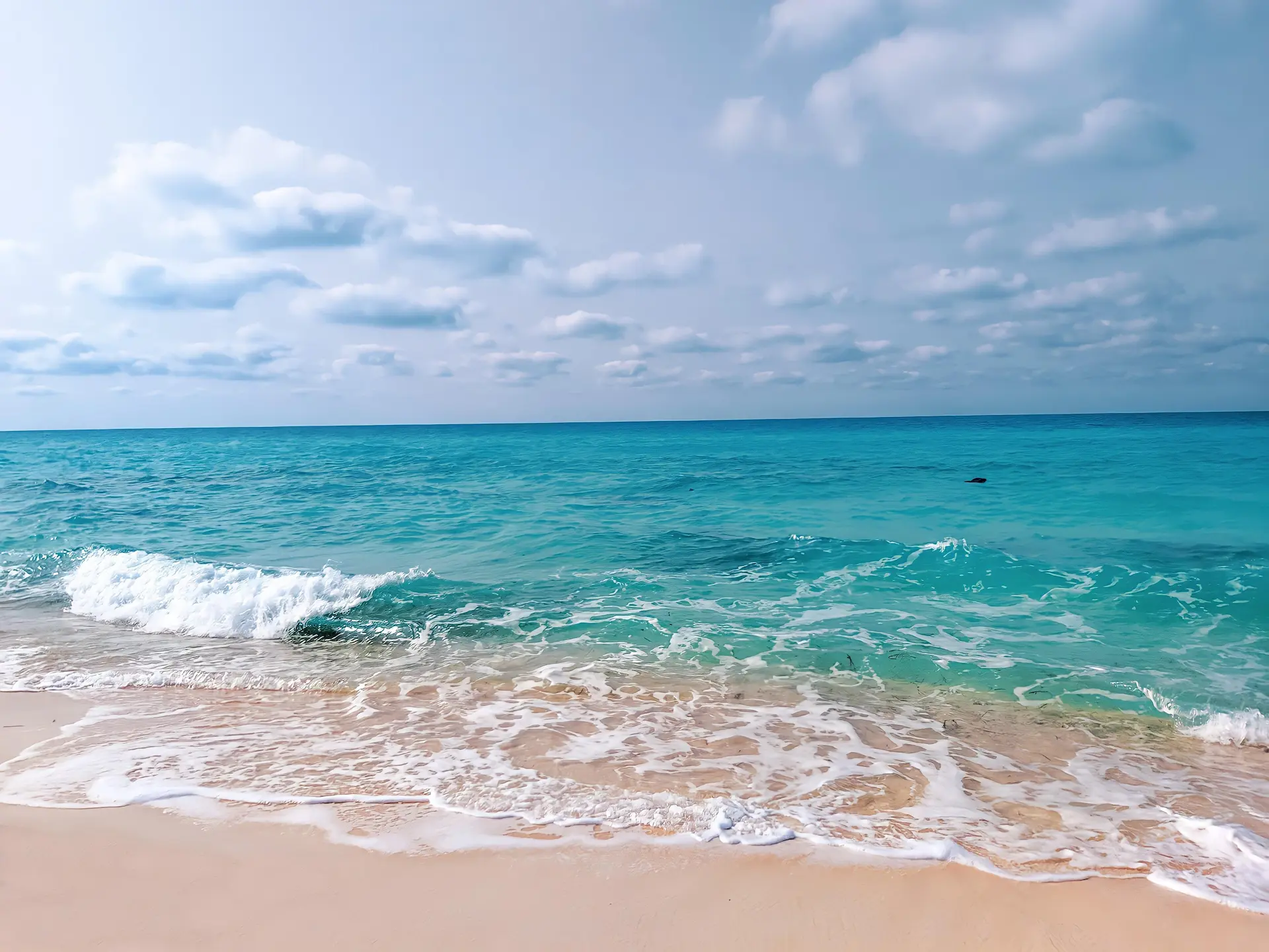 a beach on north coast